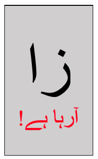 شراب ہے خراب، کباب ٹھیک ہے